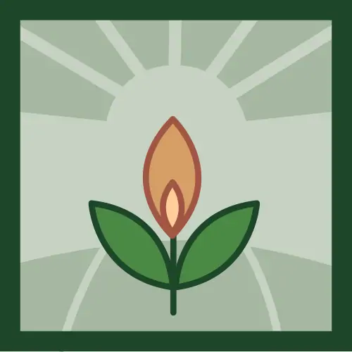 Un Viaje desde la raíz hasta el mundo